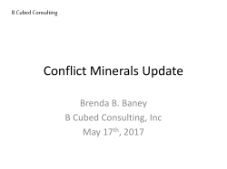 Conflict Minerals Update * CMRT 5.0