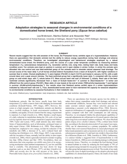 Adaptation strategies to seasonal changes in environmental