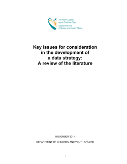 Key issues for consideration in the development of a data strategy: A