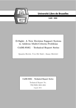 D-Sight: A New Decision Support System to Address Multi