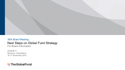 Next Steps on Global Fund Strategy