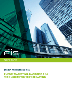 White Paper Energy Marketing: Managing Risk Through Improved