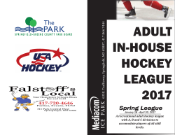 adult in-house hockey league 2017 - Springfield