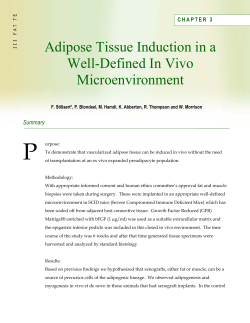 Adipose Tissue Induction in a Well
