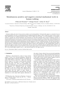 Simultaneous positive and negative external mechanical work in