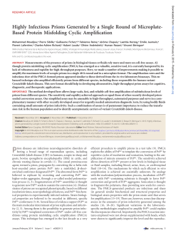 Highly Infectious Prions Generated by a Single Round of