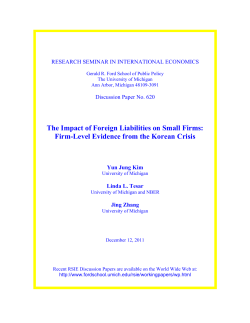 The Impact of Foreign Liabilities on Small Firms: Firm