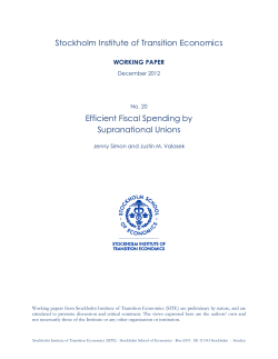 Stockholm Institute of Transition Economics Efficient Fiscal