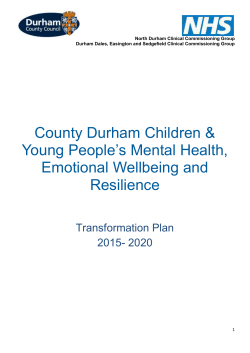 08.09.2015 Additional Paper CHYP Transformation Plan V8 final
