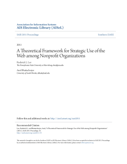 A Theoretical Framework for Strategic Use of the Web among