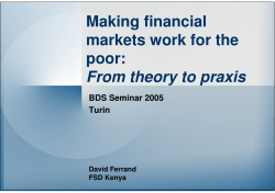 Making financial markets work for the poor: From theory to praxis