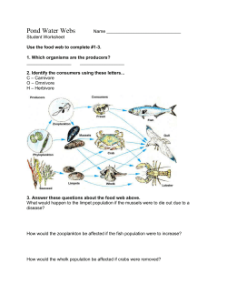 Student Sheet