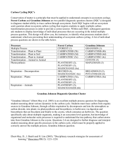 Grandma Johnson DQC_Diagnosis Guide 1_8_2010