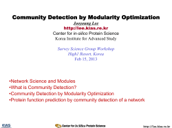 Community Detection by Modularity Optimization Jooyoung Lee