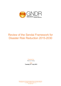 GNDR__Analysis_of_the_Sendai_Framework_FINAL_DRAFT_24