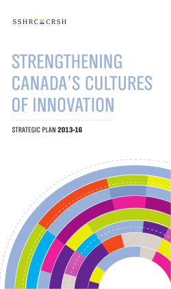 Strengthening Canada`s Cultures of Innovation: Strategic Plan 2013