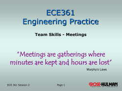 Team Skills - Meetings - Rose