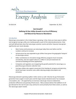 Got Growth? Defining US Gas Utility Growth in an Era of Efficiency