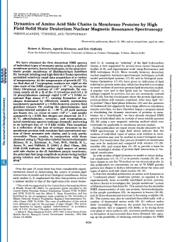 Dynamics of Amino Acid Side Chains in Membrane