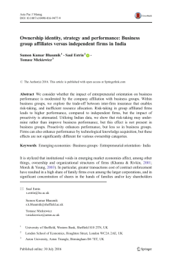 Ownership identity, strategy and performance: Business group