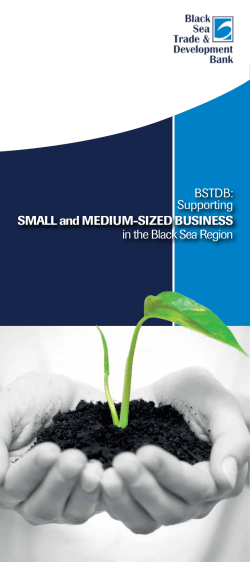 Supporting Small and Medium-Sized Business in the Black Sea