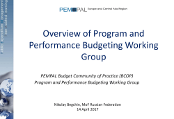 Program and Performance Budgeting Working Group