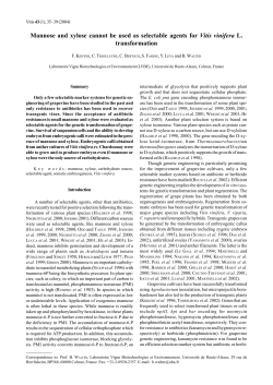 Mannose and xylose cannot be used as selectable agents for Vitis