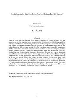 Does the Introduction of the Euro Reduce Firm