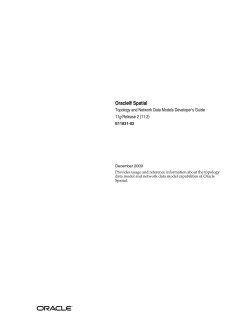 Oracle Spatial Topology and Network Data Models
