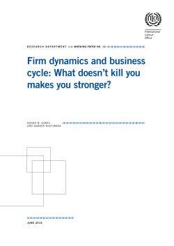 Firm dynamics and business cycle: What doesn`t kill you makes you
