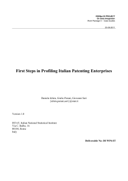 ESSnet DI WP4 Additional Italian case study 2