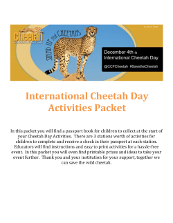 International Cheetah Day Packet