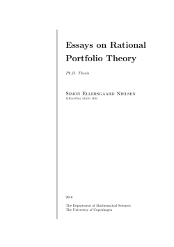 Essays on Rational Portfolio Theory