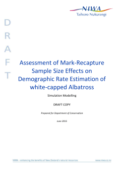 Draft background report (PDF, 326K)