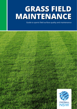 Grass Field Maintenance