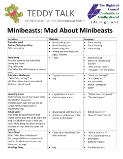 Minibeasts - EAL HIGHLAND