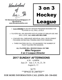 3 on 3 Hockey League