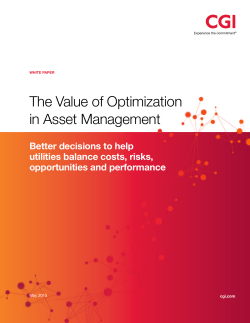 The Value of Optimization in Asset Management