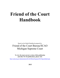 Friend of the Court Handbook