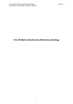 The UK Marine Biodiversity Monitoring Strategy