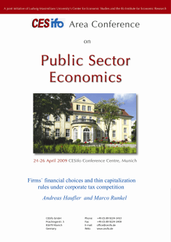 Firms` financial choices and thin capitalization rules under corporate