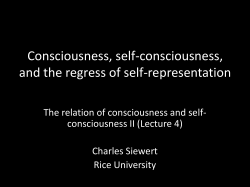 Phenomenality and Self