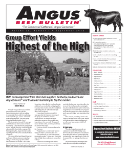 Group Effort Yields Highest of the High
