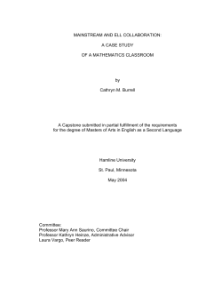 Organizational theory- rational contingency model