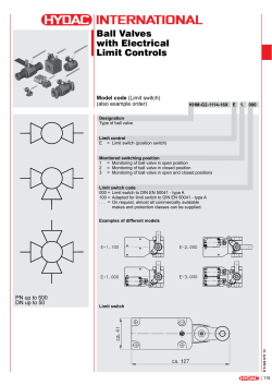 Ball Valves with Electrical Limit Controls