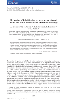 Mechanism of hybridization between bream Abramis brama and