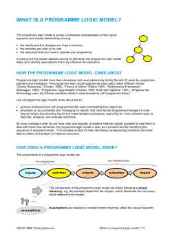 What is a programme logic model?
