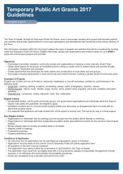 2017 Temporary Public Art Guidelines