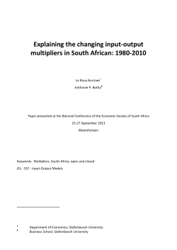Explaining the changing input-output multipliers in South African