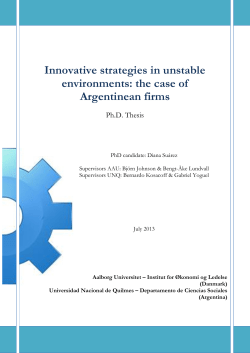 Innovative strategies in unstable environments: the case of